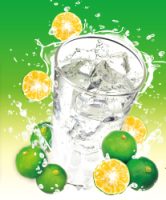 シークワーサーサワー飲める奄美大島料理かめ