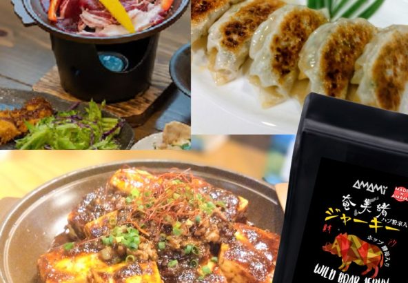 奄美リュウキュウイノシシは奄美おススメ料理